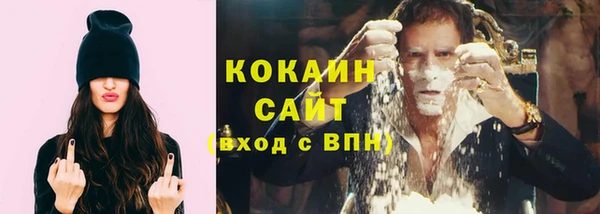 сатива Аркадак
