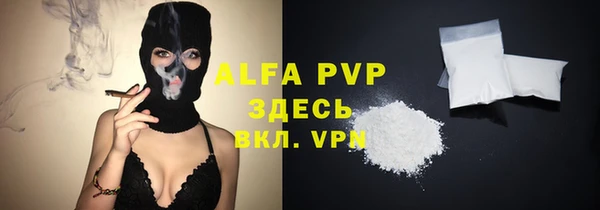 сатива Аркадак