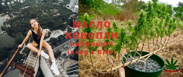 сатива Аркадак