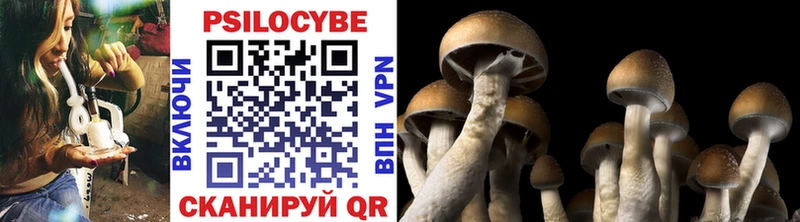 Галлюциногенные грибы мицелий  Тетюши 